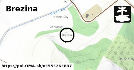 Brezina