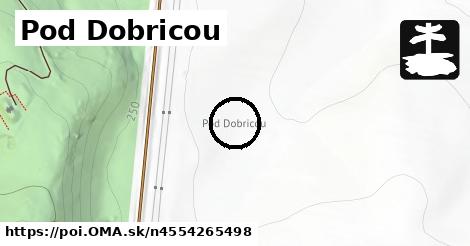 Pod Dobricou