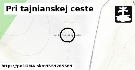 Pri tajnianskej ceste