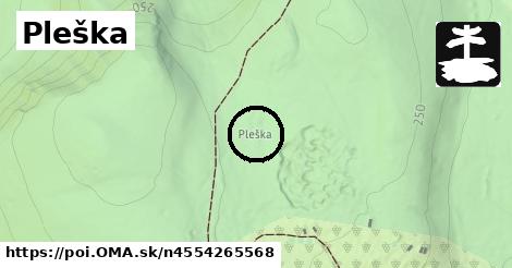 Pleška