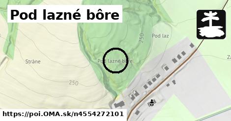 Pod lazné bôre