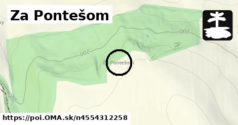 Za Pontešom