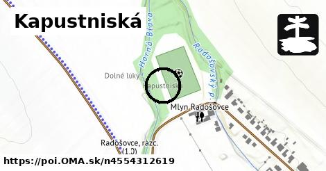 Kapustniská