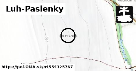 Luh-Pasienky