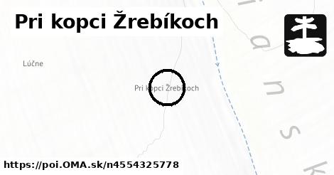 Pri kopci Žrebíkoch