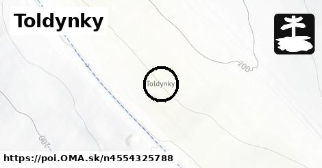 Toldynky
