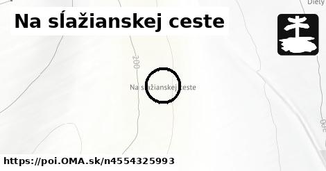 Na sĺažianskej ceste