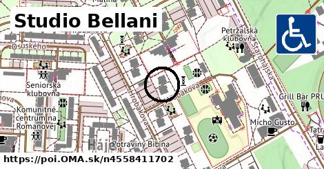 Studio Bellani