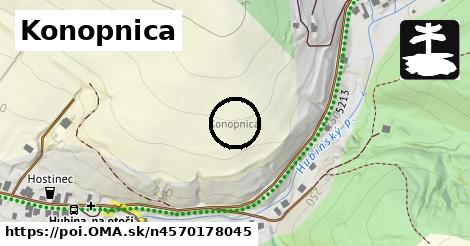 Konopnica