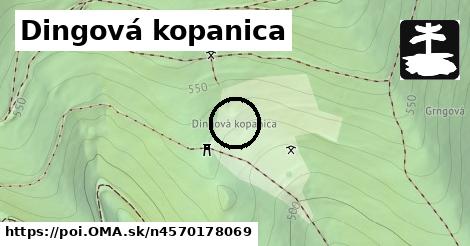 Dingová kopanica