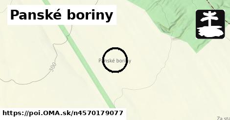 Panské boriny