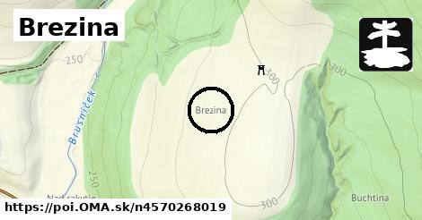 Brezina