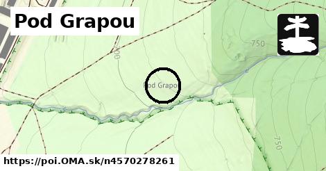 Pod Grapou