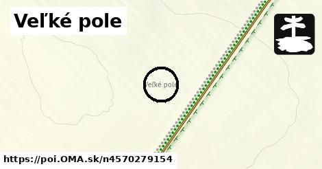 Veľké pole