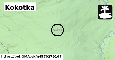 Kokotka