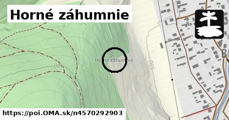 Horné záhumnie