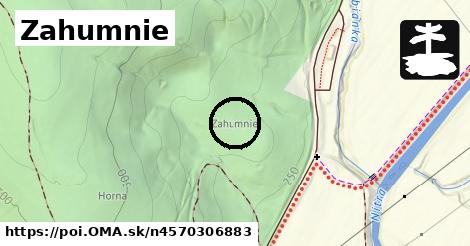 Zahumnie