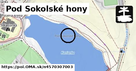 Pod Sokolské hony