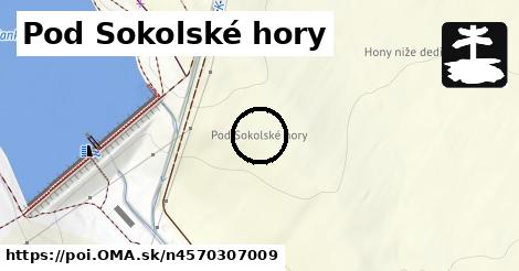 Pod Sokolské hory