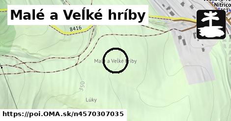 Malé a Veĺké hríby