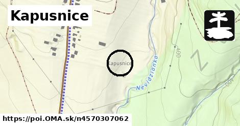 Kapusnice