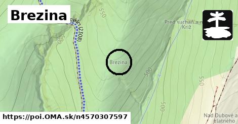 Brezina