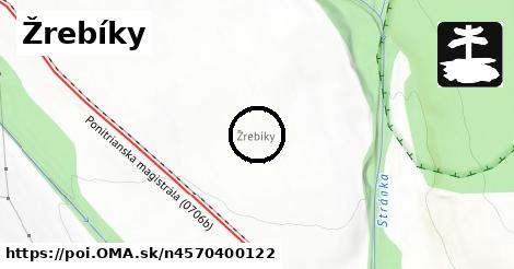 Žrebíky