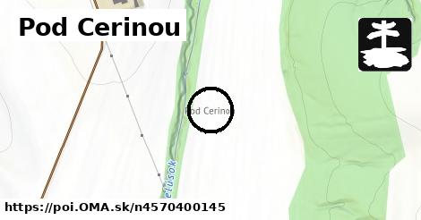 Pod Cerinou