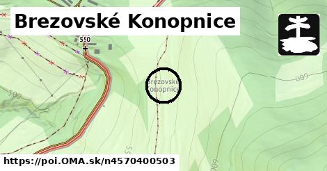 Brezovské Konopnice