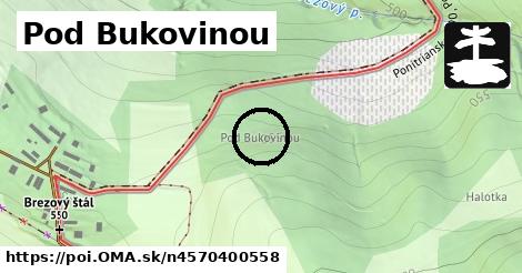 Pod Bukovinou