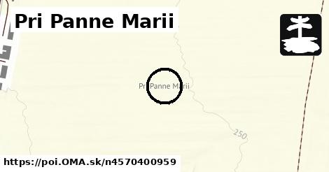 Pri Panne Marii