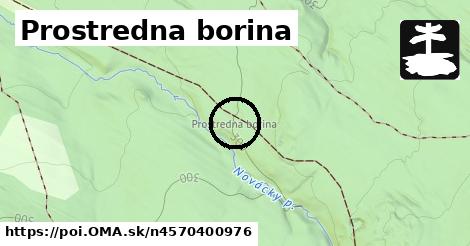 Prostredna borina