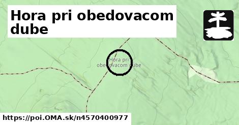 Hora pri obedovacom dube