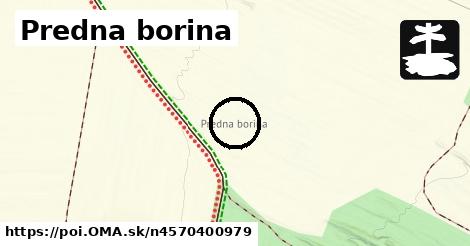 Predna borina