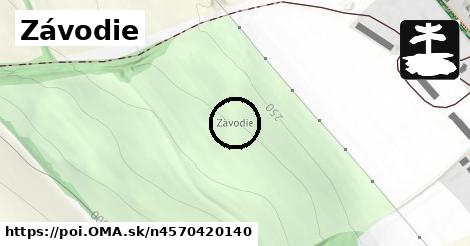 Závodie