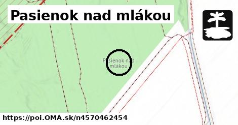 Pasienok nad mlákou