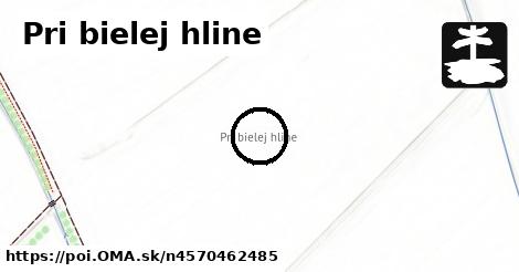 Pri bielej hline