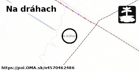 Na dráhach