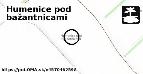 Humenice pod bažantnicami