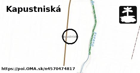 Kapustniská