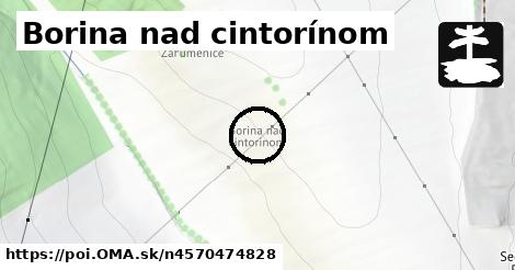 Borina nad cintorínom