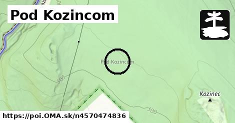 Pod Kozincom