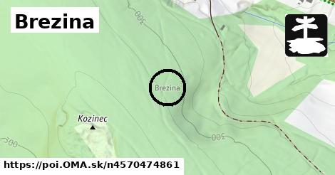 Brezina