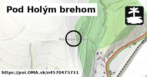 Pod Holým brehom