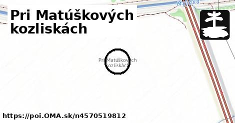 Pri Matúškových kozliskách