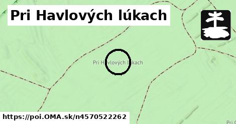 Pri Havlových lúkach