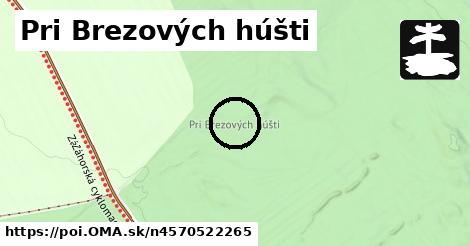 Pri Brezových húšti