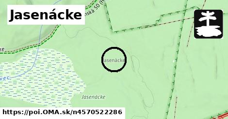 Jasenácke