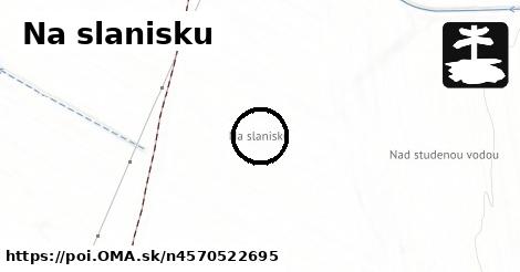 Na slanisku