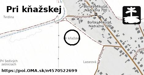 Pri kňažskej